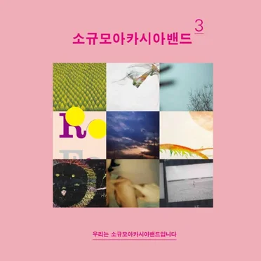 우리는 소규모아카시아밴드입니다