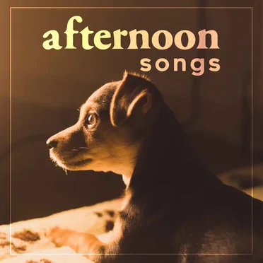 Afternoon Songs by Various Artists - album cover