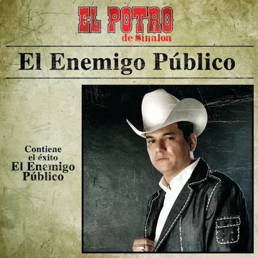 El enemigo público