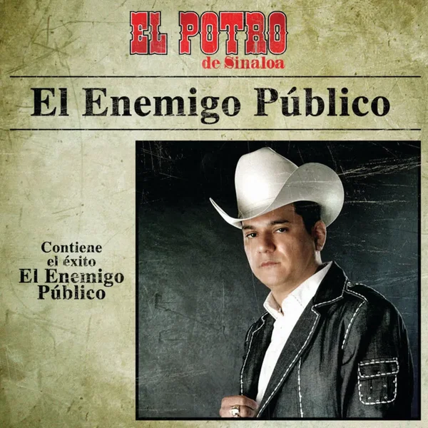 El enemigo público
