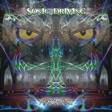 Sonic Driving