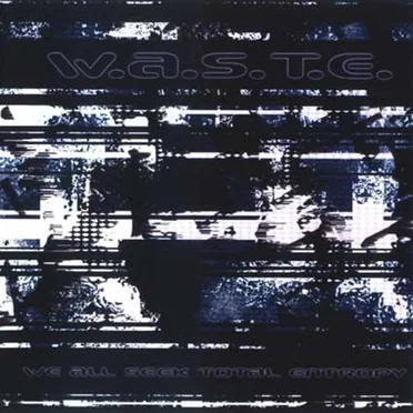 We All Seek Total Entropy