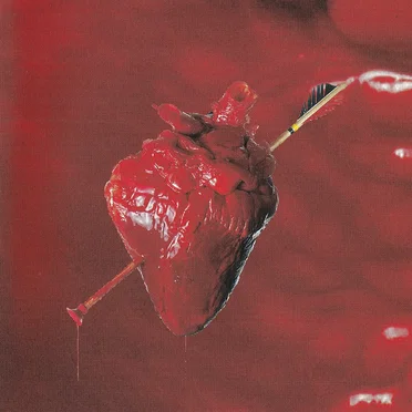 The Best of the Wildhearts - Video Collection