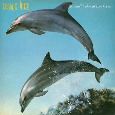 You Can’t Hide Your Love Forever