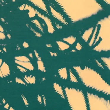 Microscopic movies