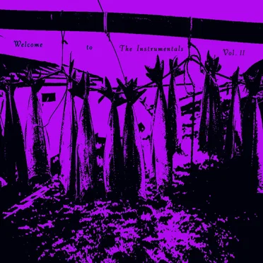 Welcome To The Instrumentals Vol. II by Various Artists - album cover