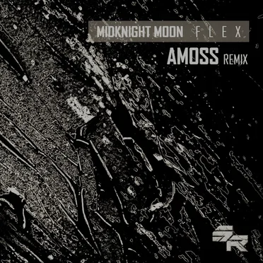Flex (Amoss remix)