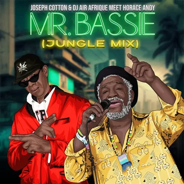Mr. Bassie (Jungle mix)