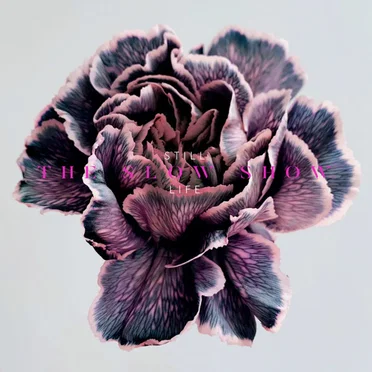 Still Life by The Slow Show - album cover