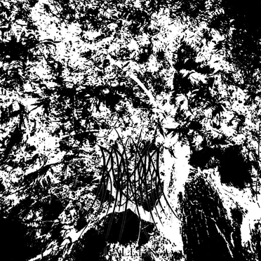 Fallen