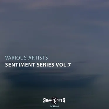 Sentiment Series Vol.7 by Various Artists - album cover