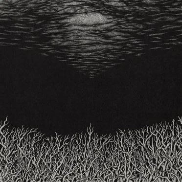 The Slow Dying of the Great Barrier Reef