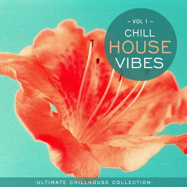 Chill House Vibes Vol 1: Ultimate Chill House Collection by Various Artists - album cover