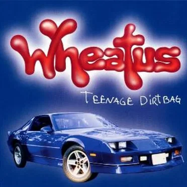 Teenage Dirtbag