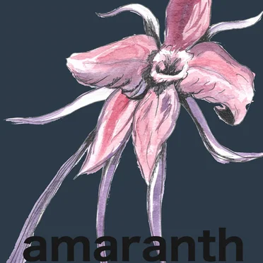 Ghost in the Rain by Amaranth - album cover