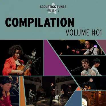 Compilation Vol #01 by Acoustics Tunes - album cover