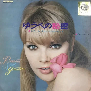 Romantic Steel Guitar