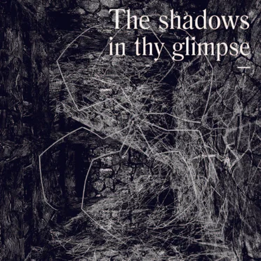 The Shadows in Thy Glimpse: Bedouin Records Selected Discography 2016–2018 by Various Artists - album cover