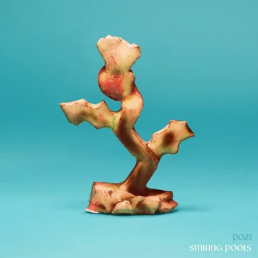 Smiling Pools by Pozi - album cover