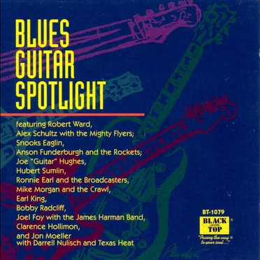 Blues Guitar Spotlight by Various Artists - album cover