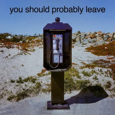 You Should Probably Leave by Haroula Rose - album cover
