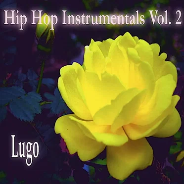Hip Hop Instrumentals Vol. 2