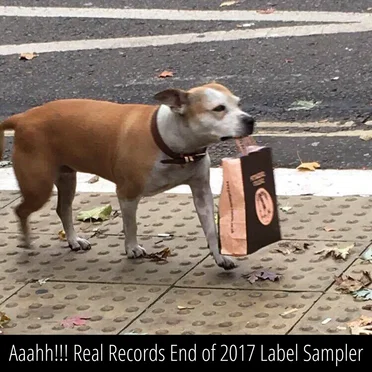 End of 2017 Label Sampler by Various Artists - album cover