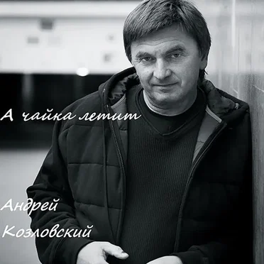 А чайка летит by Андрей Козловский - album cover