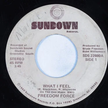 What I Feel / Stop Running by Freedom Force - album cover
