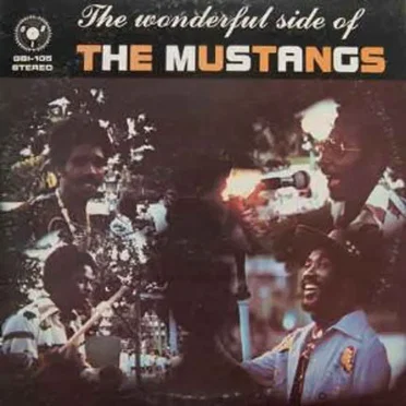 The Wonderful Side Of by The Mustangs - album cover