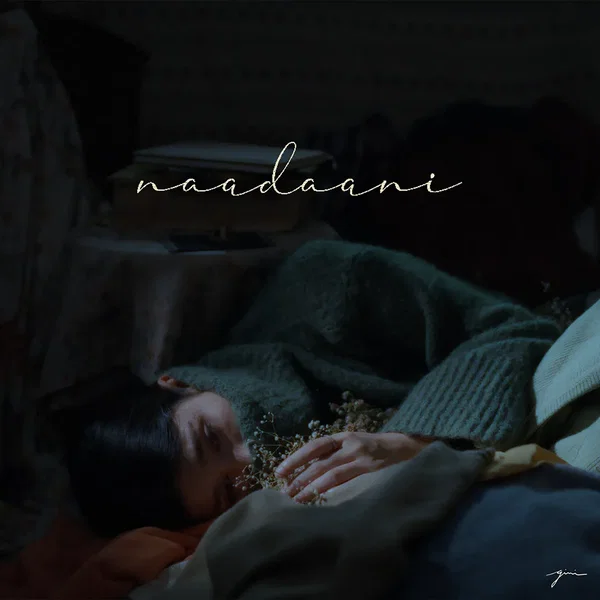 Naadaani