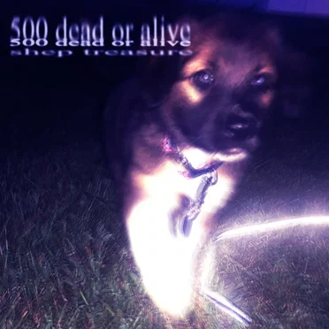 500 Dead Or Alive