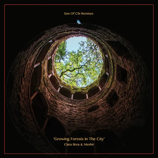 Growing Forests in the City