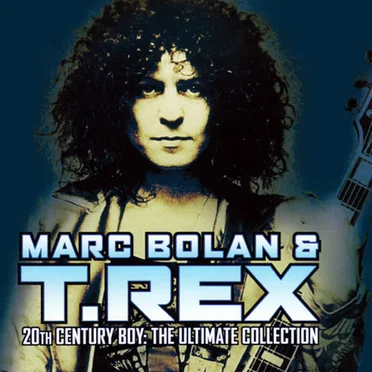20th Century Boy: The Ultimate Collection