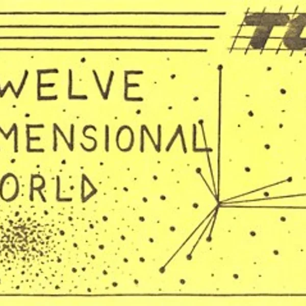 Twelve Dimensional World