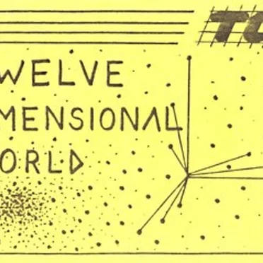 Twelve Dimensional World