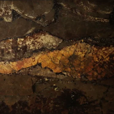 Poemas instantáneos