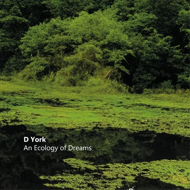 An Ecology of Dreams