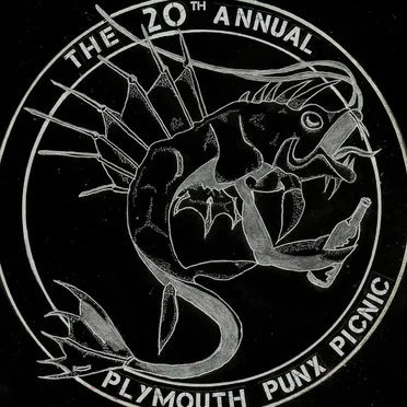 The 20th Annual Plymouth Punx Picnic by Various Artists - album cover
