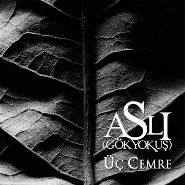 Üç Cemre by Aslı Gökyokuş - album cover
