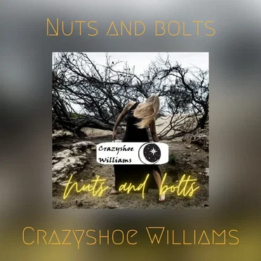 Nuts and bolts