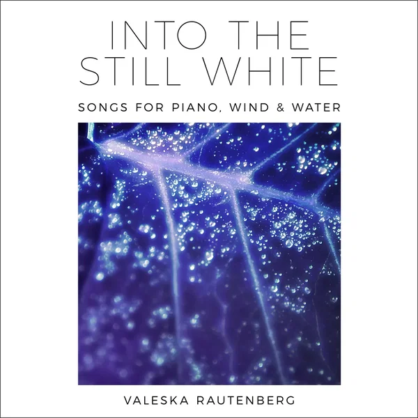 Into The Still White