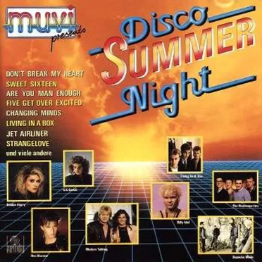 Disco Summer Night by Various Artists - album cover