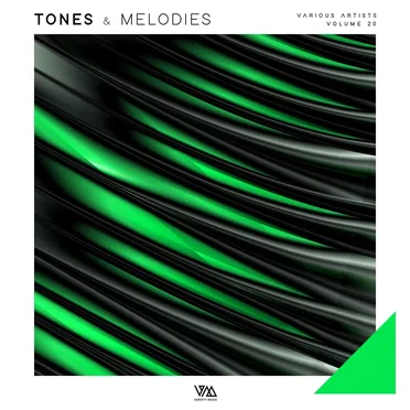 Tones & Melodies Vol. 20 by Various Artists - album cover