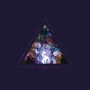 The Indigo Child by The Dear Hunter - album cover