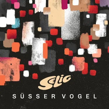 Süßer Vogel