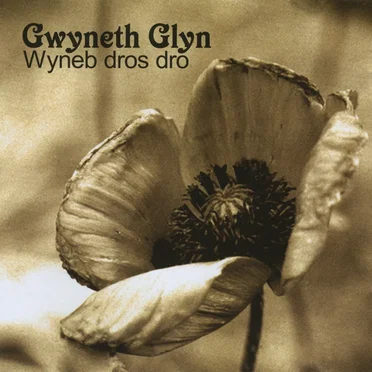 Wyneb Dros Dro by Gwyneth Glyn - album cover