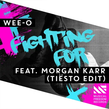 Fighting For (Tiësto edit)