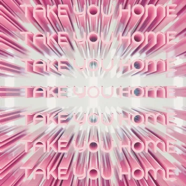 Take You Home