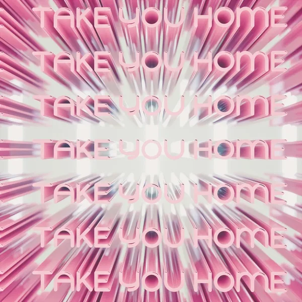 Take You Home
